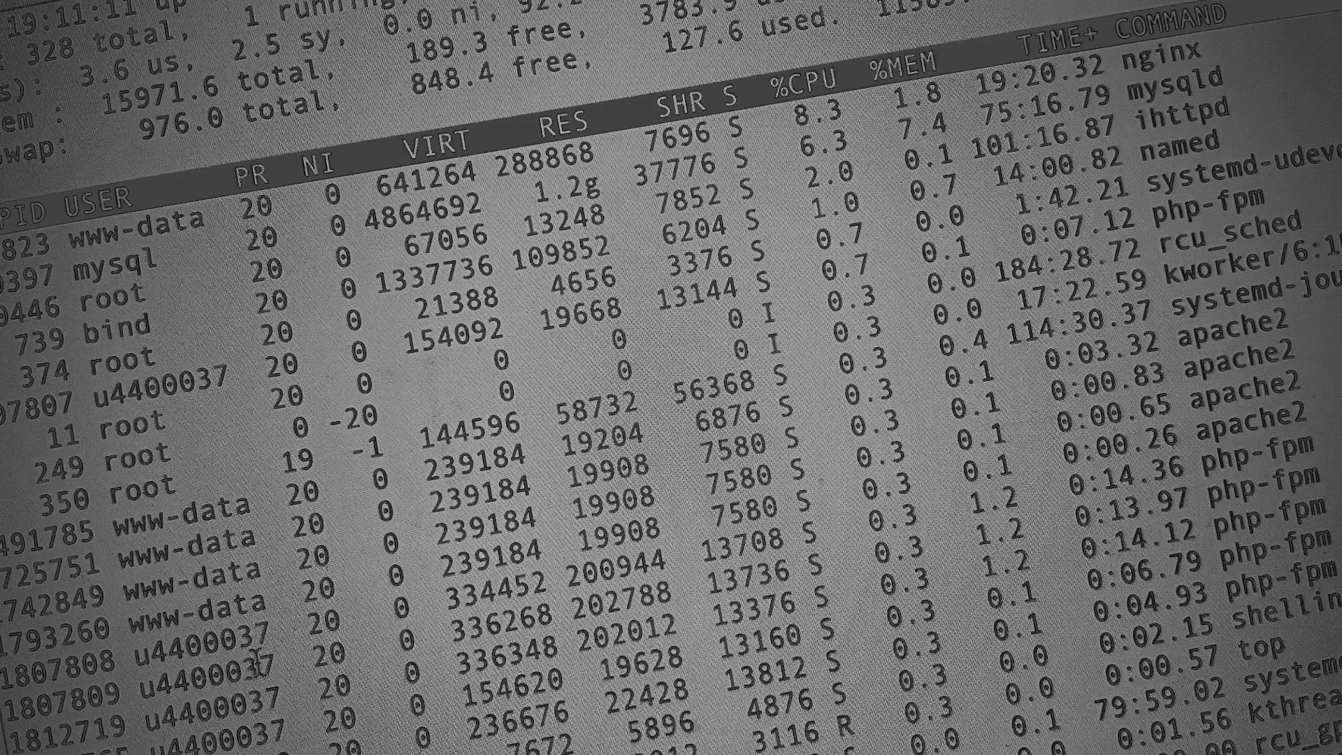 Настройка сервера в Алексине Настройка сервера в Алексине