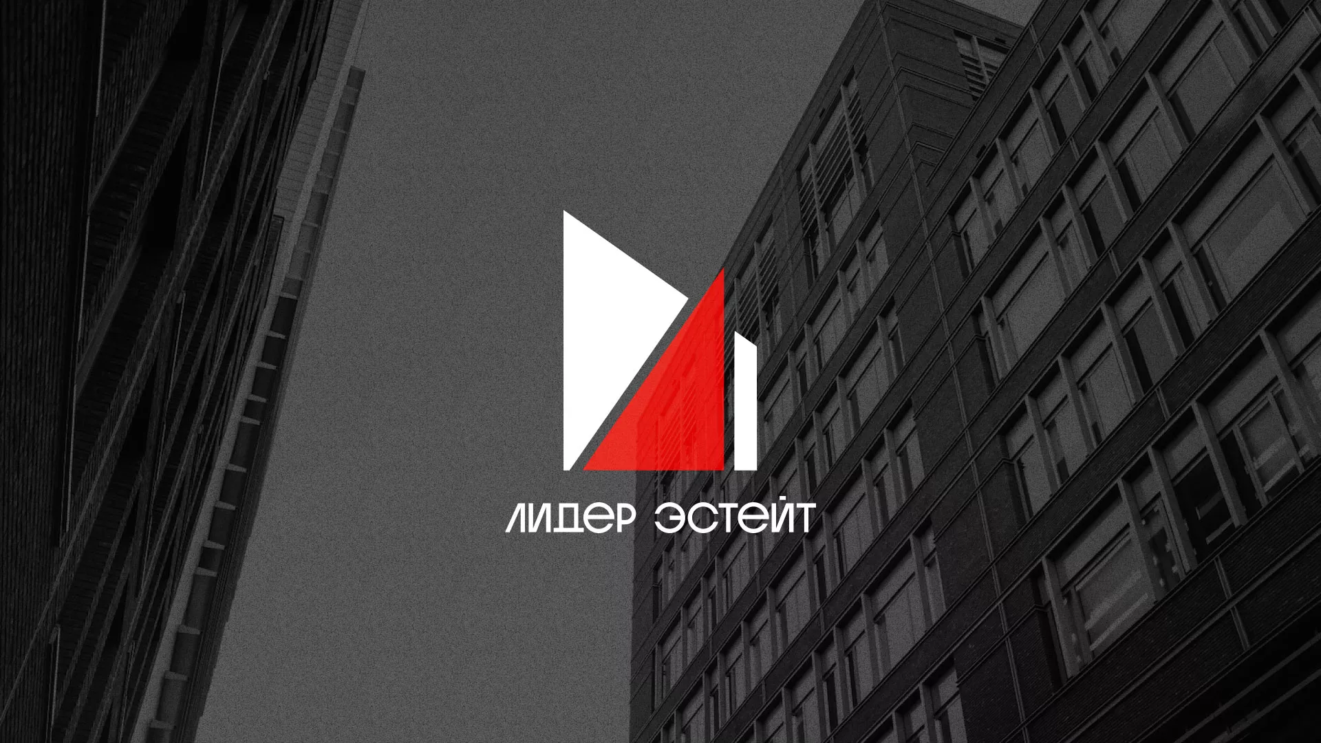 Сделали логотип для агентства недвижимости «Лидер Эстейт» в Алексине